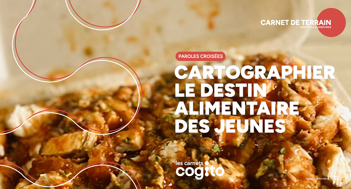 Description de l'image 1